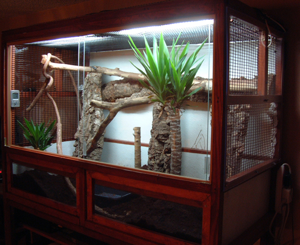 Home [reptilecages.weebly.com]